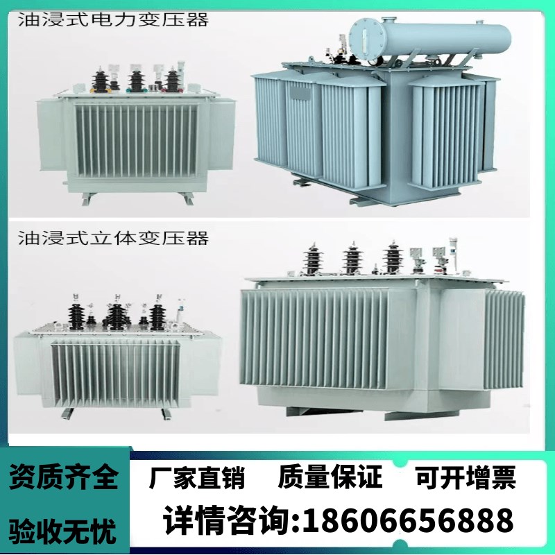 教学变压器模拟变压器10KV高压油浸式变压器电力变压器高压变压器