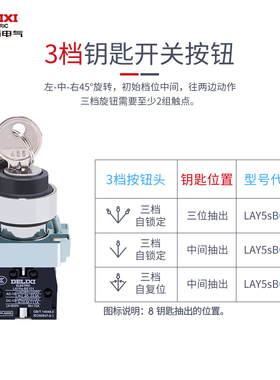 德力西旋钮钥匙控制LAY5sBG21两档自锁常开钥匙开关BG33三位单抽