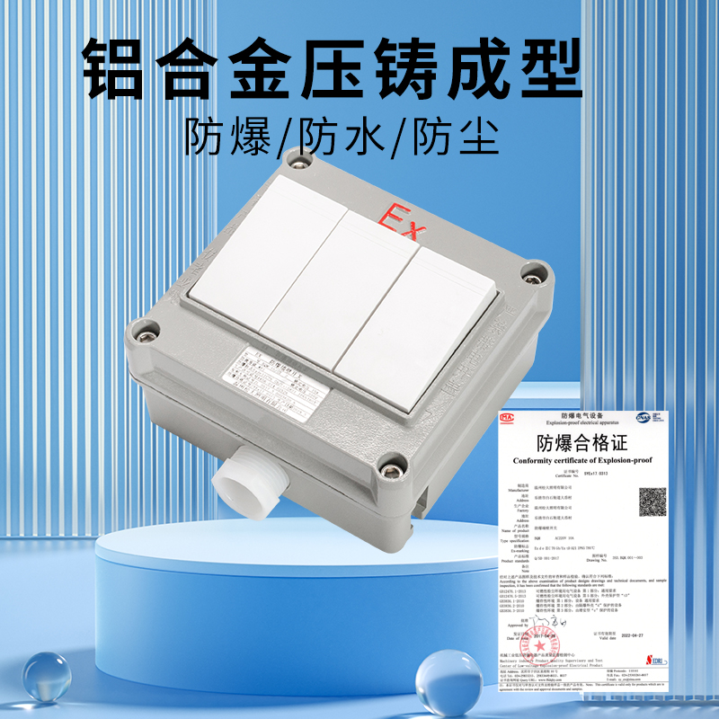 防爆墙壁开关220V10A明装暗装86型单联双联三联双控翘板照明开关