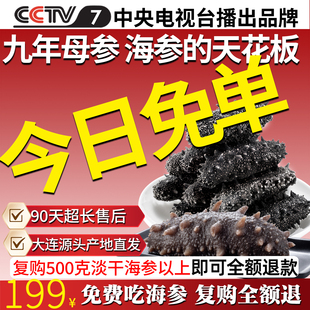 参康德大连底播野生淡干海参体验装50g辽刺参干货官方旗舰店特价