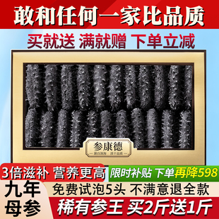 参康德大连野生底播纯淡干海参250g500g特价辽刺参干货官方旗舰店