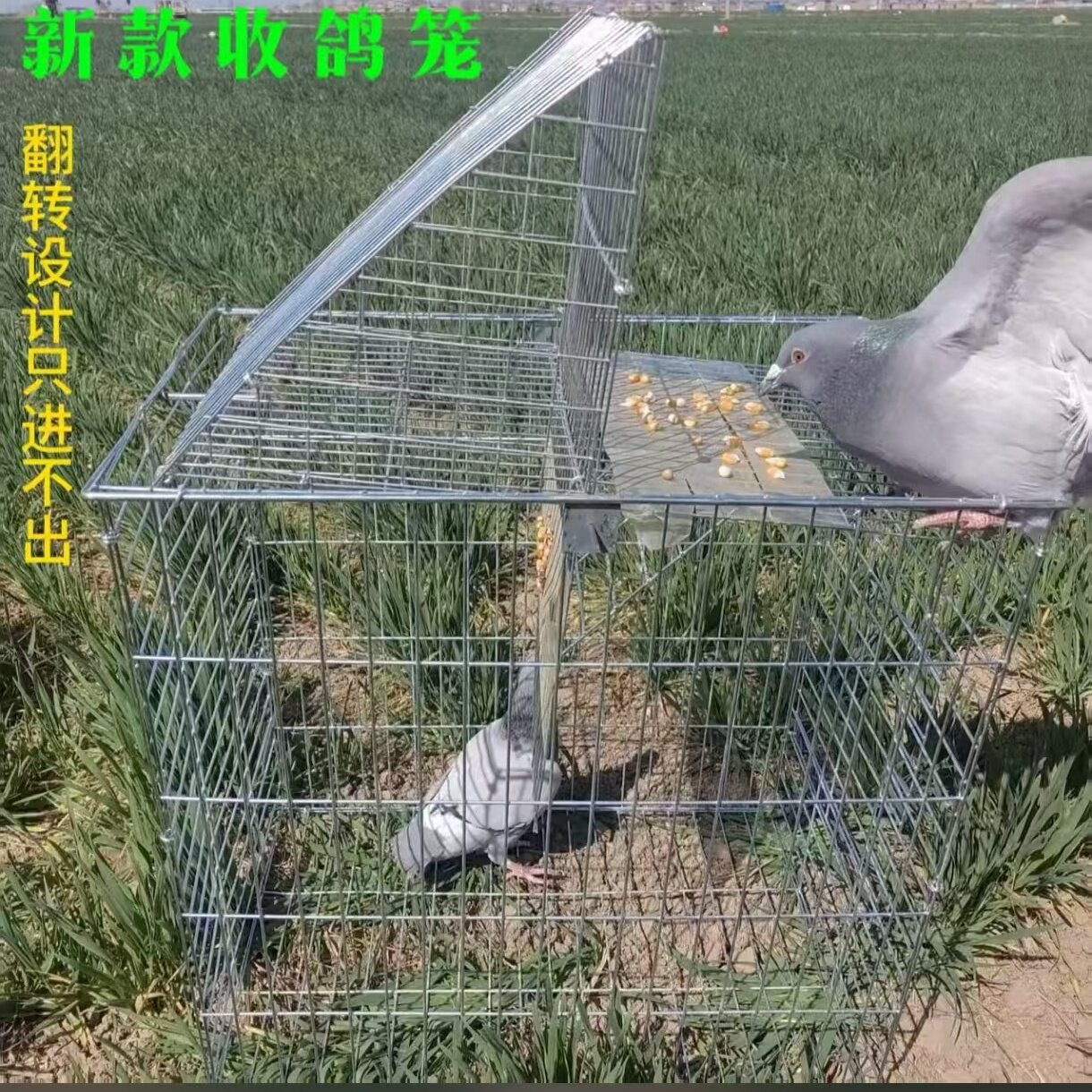 【厂家直销】镀锌防锈天落笼户外翻转笼只进不出信鸽训练笼翻板笼