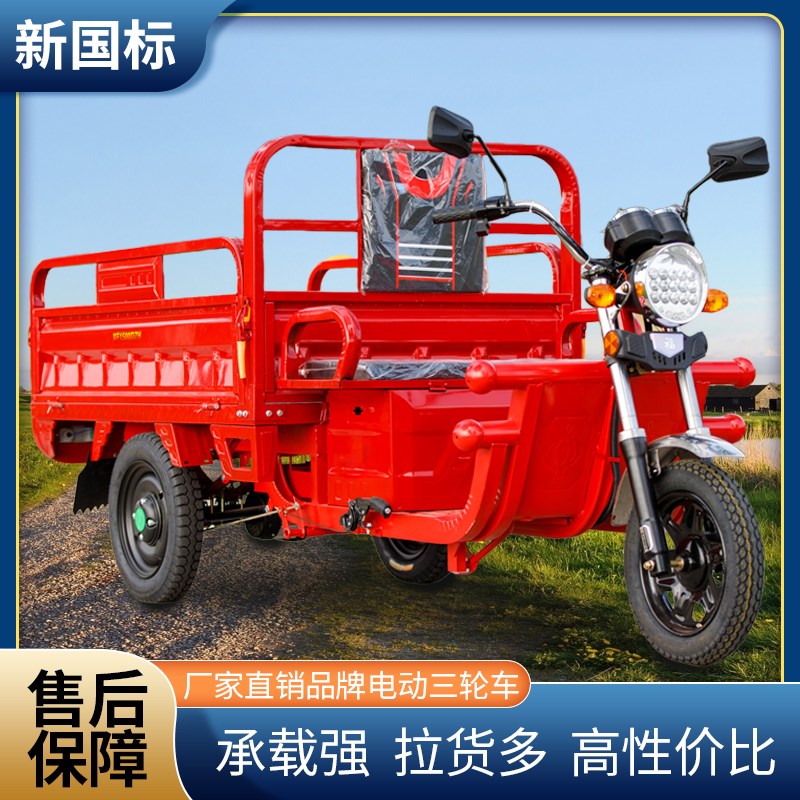 电动三轮车载重王拉货成人新款家用电瓶车拉货三轮车快递车农用车