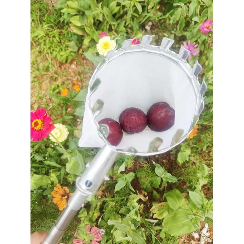 伸缩金属摘果头可搭配 q超长不锈钢抄网杆 摘果器 摘果工具例子枇