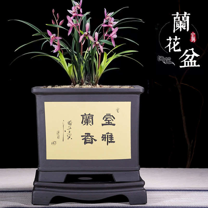 精品紫砂花盆兰花盆君子兰盆景盆C室内大号古典四方带托盘陶瓷花