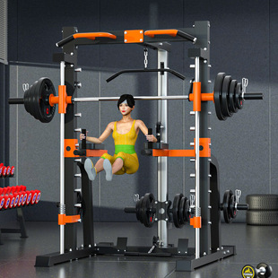 家用史密斯机龙门架深蹲架卧推杠铃架引体向上炮筒提拉健身器材