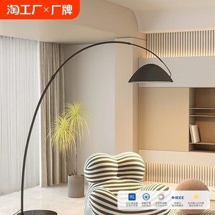 钓鱼灯落地灯20k24新款 落地氛围台灯艺 客厅沙发角墙角灯卧室立式