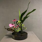 陶瓷皿摆件流小禅意盆景花盆原新中式 圆盘插花花盘剑山日式 苔藓器