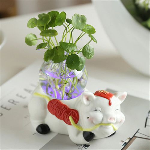 绿萝水培花盆器皿花瓶透明玻x璃插花陶瓷花盆水养植物花器装饰摆