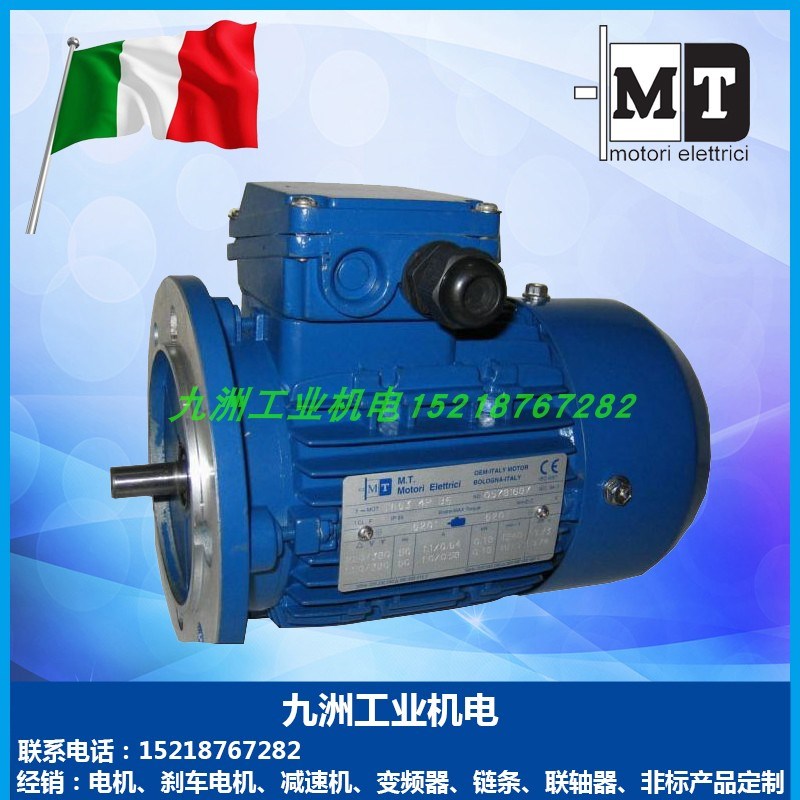 MT刹车电机TeFS63B4 A4 71B4 80B4 90L4 TFP100B4 TFP112B4抱闸