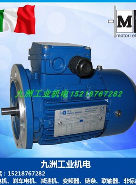 MT刹车电机TeFS63B4 A4 71B4 80B4 90L4 TFP100B4 TFP112B4抱闸