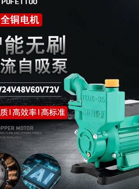 12vv7农用6048v刷无直v专用伏24抽水泵自吸泵浇灌抽水机2流电动车