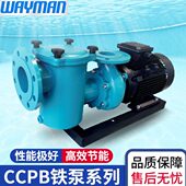 水泵大功率鱼池过滤循环泵工程水疗水泵泵游泳池水泵按摩吸污机