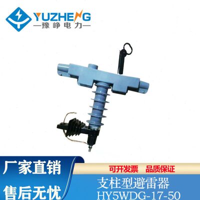 G75W耐腐蚀Y一体式带H5G脱离YH550WD柱防雷Y避雷器硅胶BW 支G1/HB