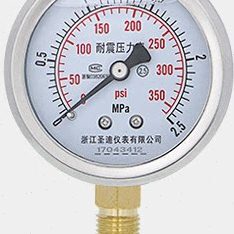 60350PS60 耐震压力表抗震-YTN-MPA2.5外壳Yi不锈钢N