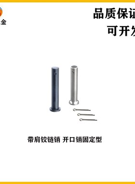 MIB06-D3/D4/D5/mD6/D8/D10/D12-L12/15/16/18/20/25/30/40铰链销