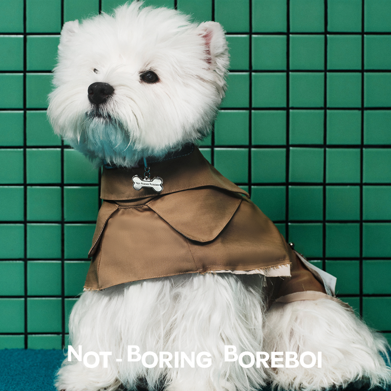 NB B丨人宠亲子装 狗狗风衣 休闲西装夹克中小型犬