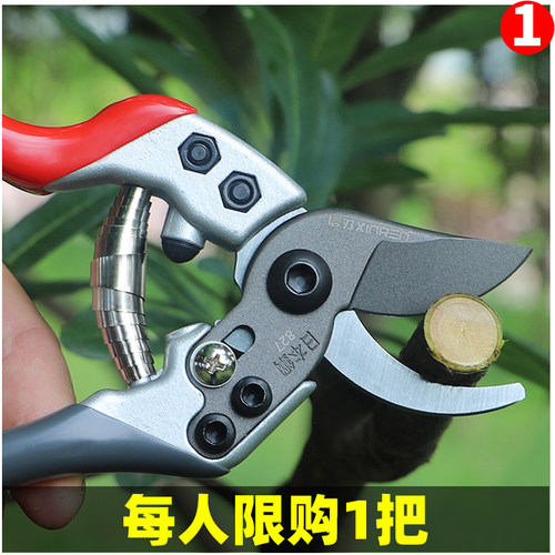 剪枝剪刀果树修枝剪园艺剪德国进口省力粗枝剪园林修花工具花枝剪