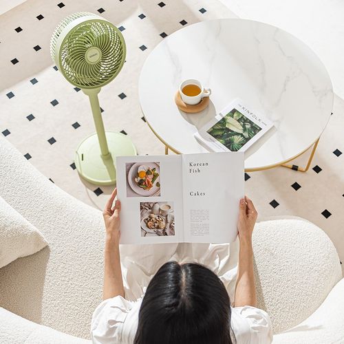 SOIKOI家电智能空气循环扇电风扇落地式大风力强风家用落地扇电扇