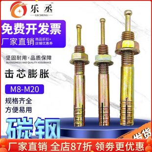 膨胀螺栓锤击壁虎膨胀栓一钉得 击芯膨胀螺丝举升机膨胀螺丝敲击式