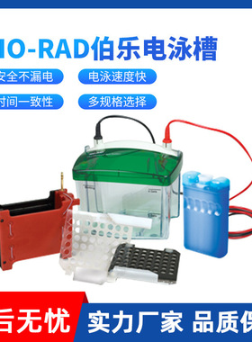 伯乐电泳槽一级 美国伯乐BIORAD垂直电泳槽电泳仪转印槽蛋白槽