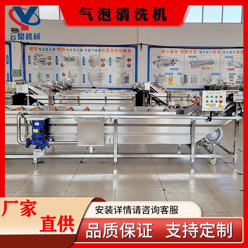 定制沙丁鱼气泡清洗机 鱿鱼清洗速冻挂冰生产线 海产品清洗设备