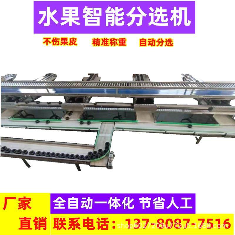 水果分选机梨苹果重量分级机全自动电脑选果机水果分选分拣线