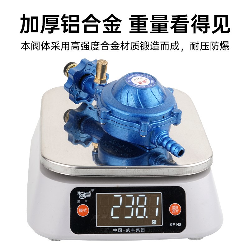 新国标家用液化气大火力减压阀防爆低压大流量煤气罐钢瓶自闭阀门