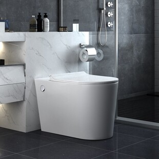 佑恩卫浴抽水马桶无水箱小户型普通非智能家用直冲虹吸式坐便器