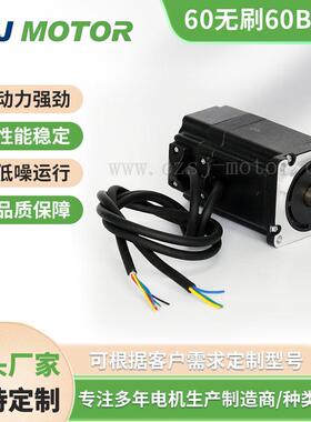 S60BL99直流无刷电机24V48V310V200W0.65Nm3000转低噪音淞杰厂家