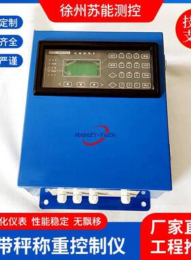 DL9902J/K型皮带秤称重控制仪长期供应电子皮带螺旋秤称重控制