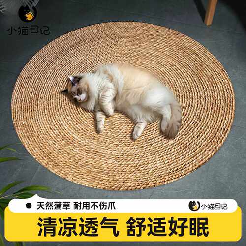 猫抓板蒲草垫耐磨不掉屑剑麻垫耐抓猫窝爪板夏天圆形藤编四季通用