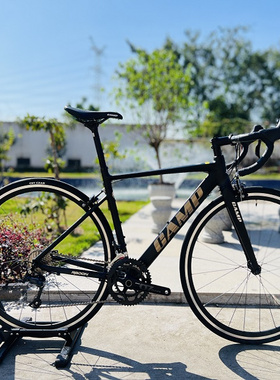 Camp坎普 RADON 圈刹 综合爬坡架铝合金公路车