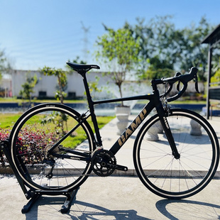 Camp坎普 RADON 圈刹 综合爬坡架铝合金公路车