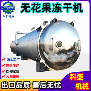 无花果冻干机 益生菌发酵饮料冻干机 玫瑰花银耳羹低温冷冻干燥机
