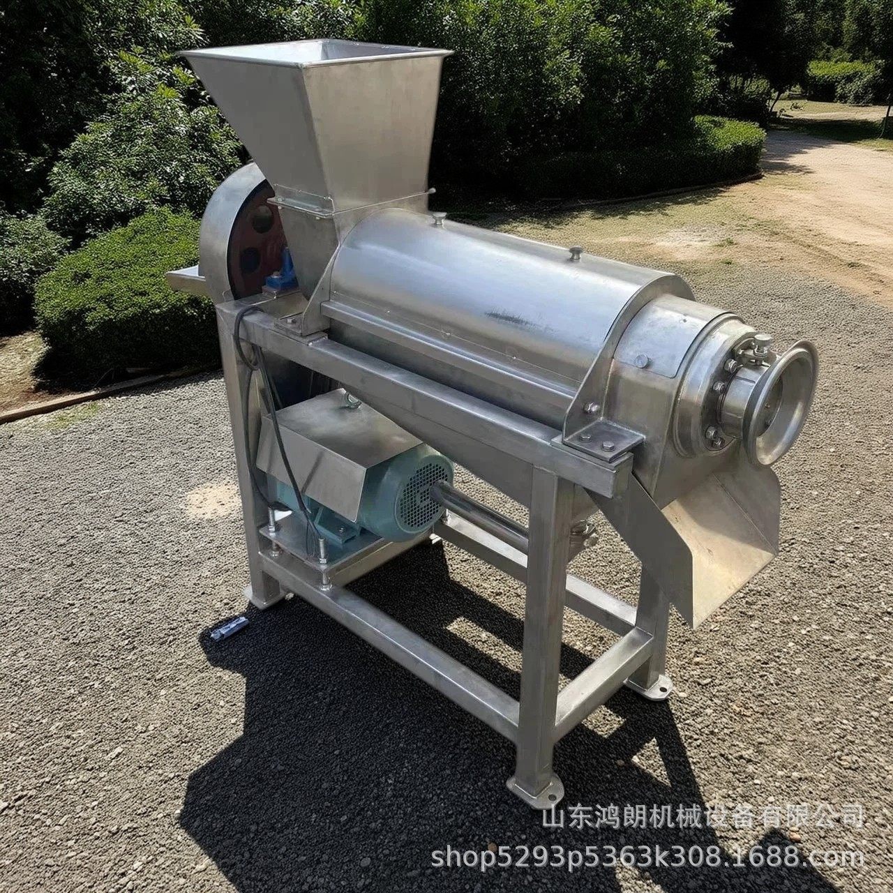 果蔬压榨青菜打汁机 橙子菠萝挤压榨汁机 压榨打汁机