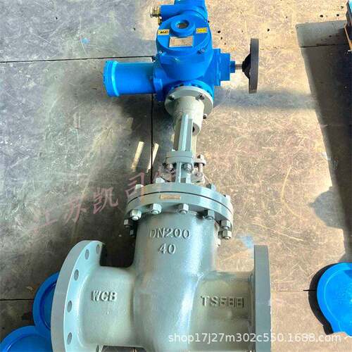 矿用隔爆型电动闸阀煤安防爆MZ941H-40C-DN200带煤安证