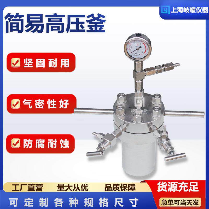 不锈钢电加热温恒温氢化压反应釜实验室精密简易反应器搅拌