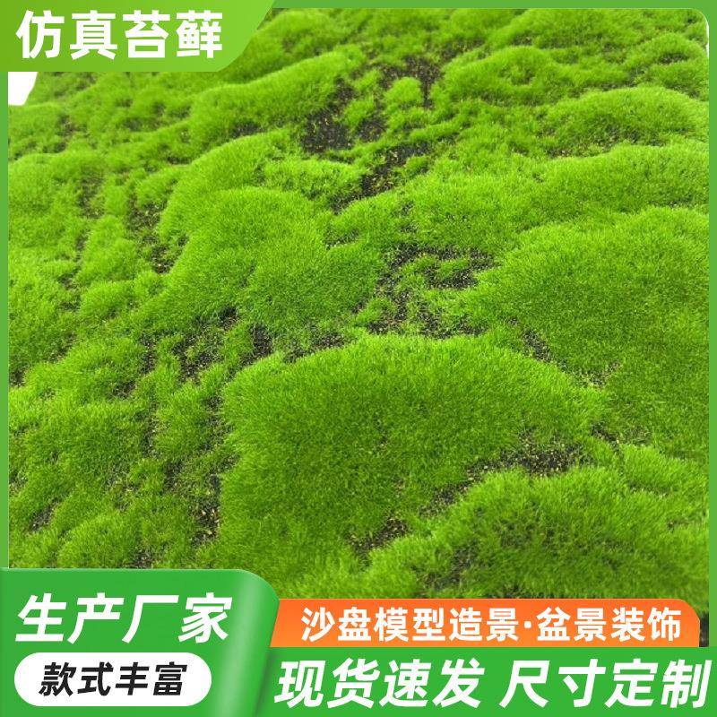 仿真苔藓绿色青苔草坪仿真草皮背景墙橱窗盆景绿植装饰人造假青苔