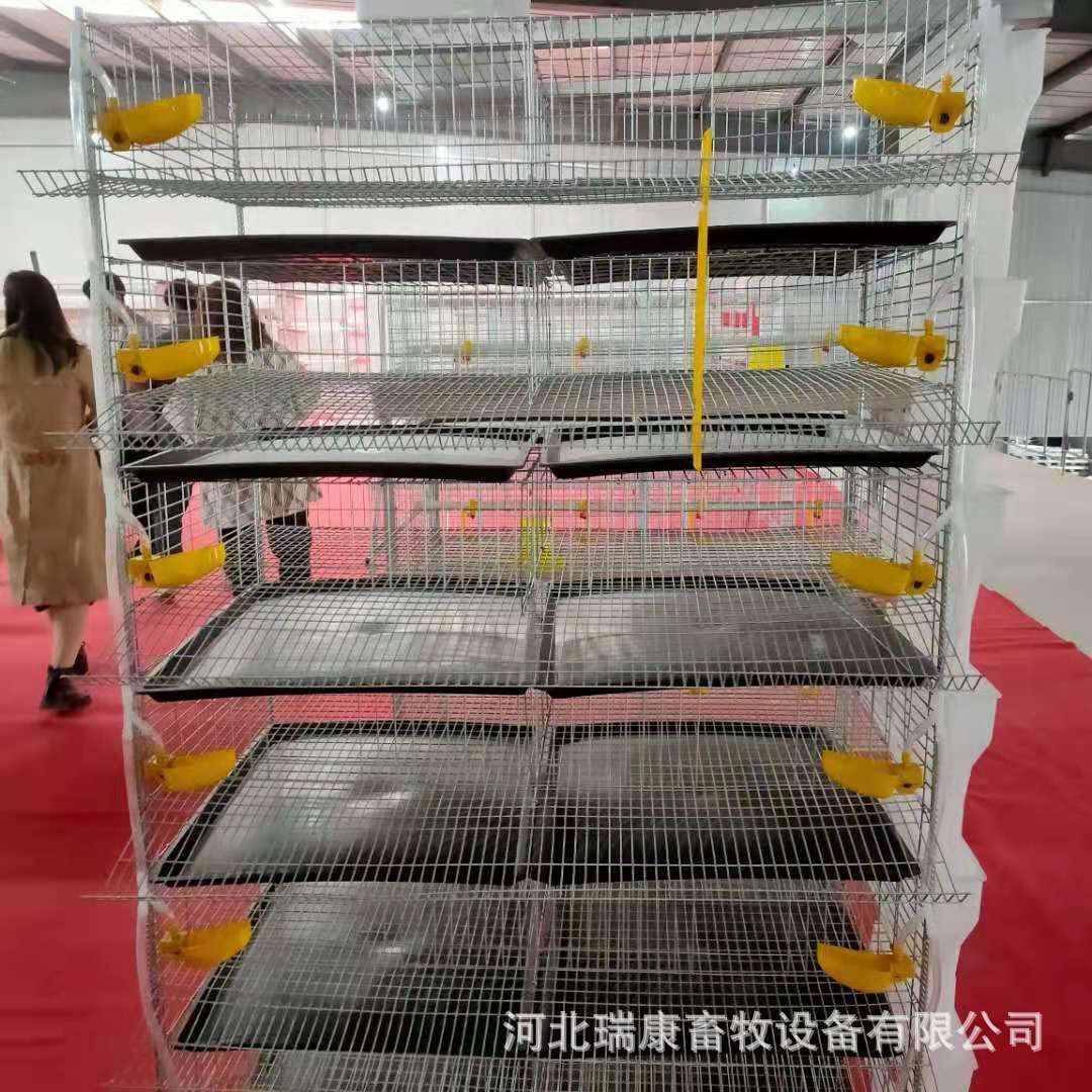 生产 鹌鹑笼 立体自动6层 加粗加密 镀锌丝 焊接 鹌鹑养殖笼