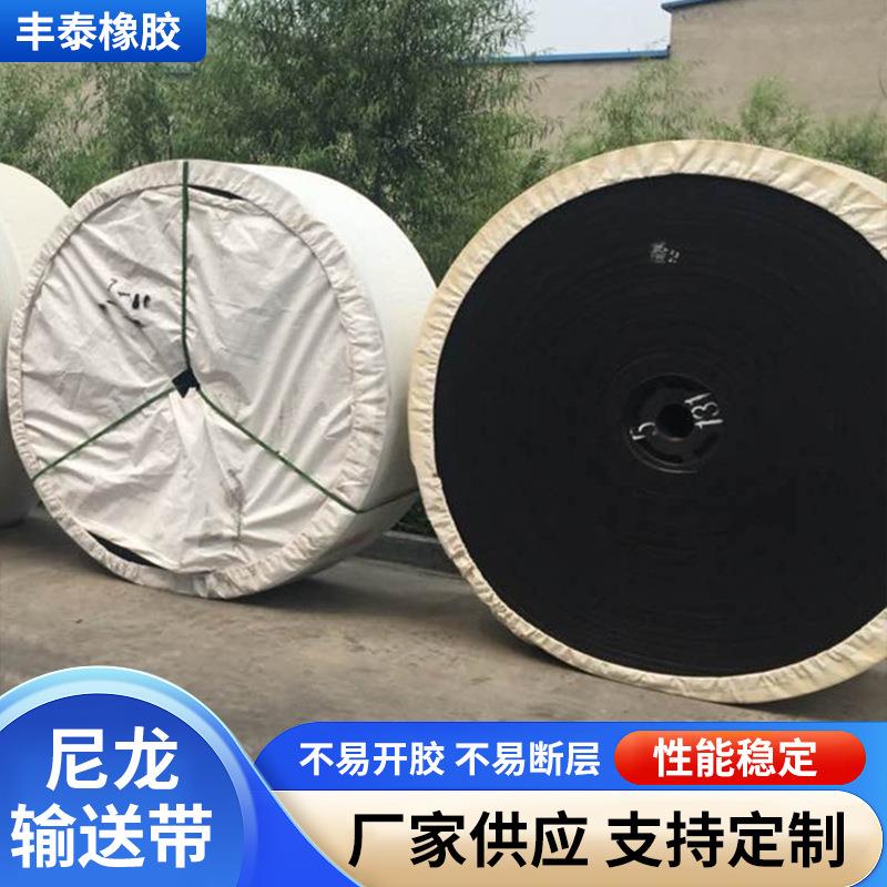 尼龙输送带耐热阻燃传送带耐磨矿山煤炭运输可定 制输送带