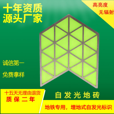蓄光夜光不锈钢安全出口标识灯