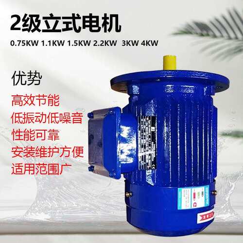 YE3系列2级立式电机铜线大头泵马达0.75KW1.1KW1.5KW2.2KW3KW4KW
