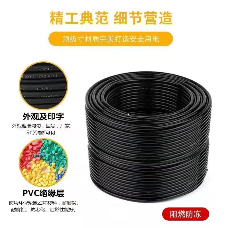 国标电缆线2芯3芯1.5/2.5/4/6平方RVV护套线家用户外工地软电源线