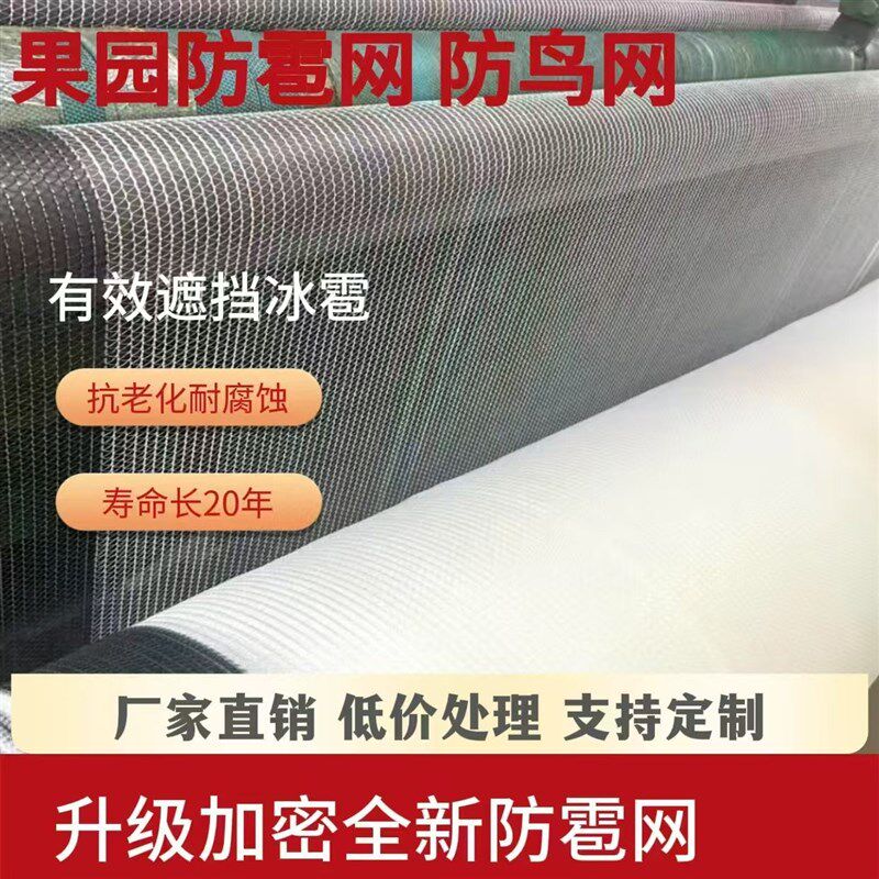 防雹网果园防鸟网葡萄网防冰雹专用网尼龙网天网防护网全新料耐用