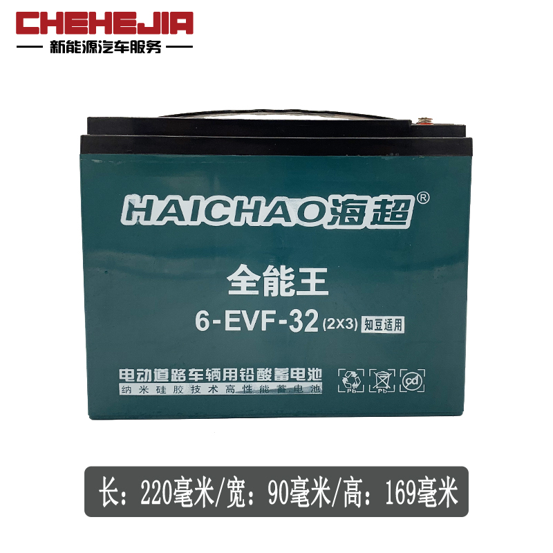 适配吉利知豆D1 301 D2s12V32a电动汽车免维护启动小电池铅酸电瓶