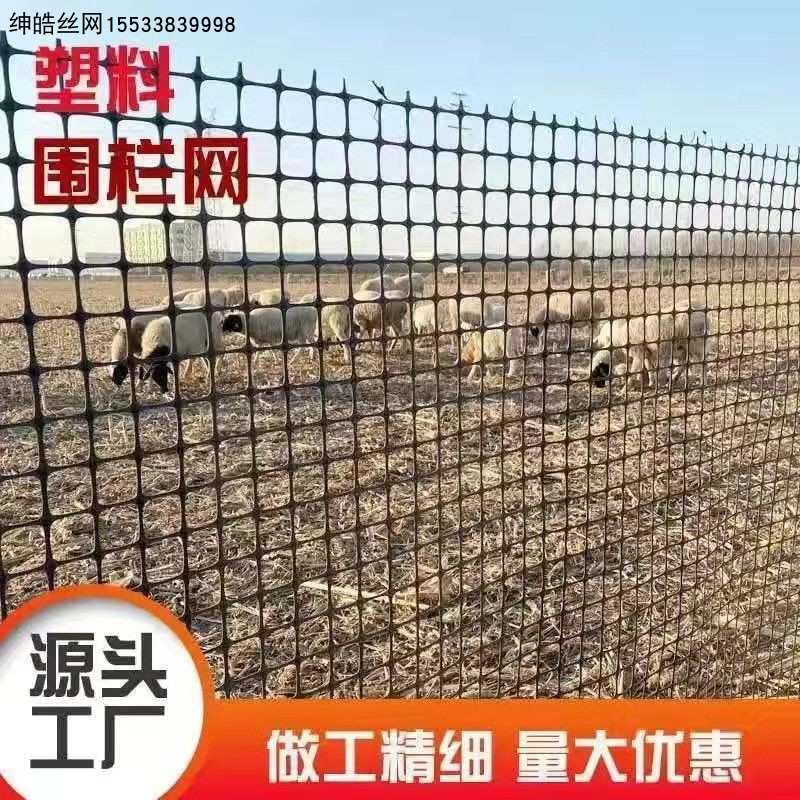 加厚塑料网格拦鸡鸭养殖户外家用阳台防护隔离栅栏特厚玉米围栏网