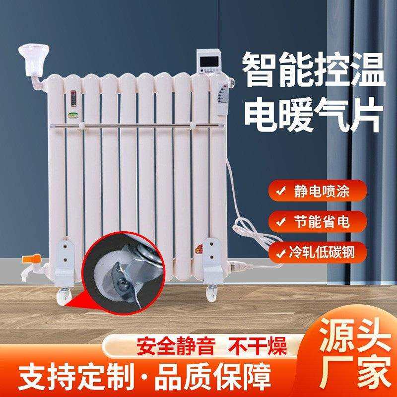 家用带遥控注水电暖气片厂家水循环电加热取暖器加水电暖气片