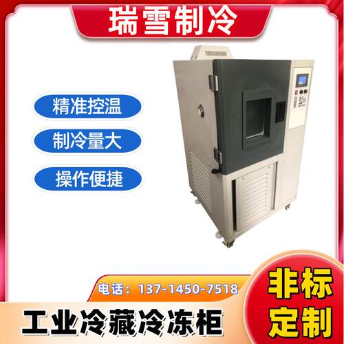 瑞雪立式工业冰柜超低温工业冰箱厂家快速冷却操作简单