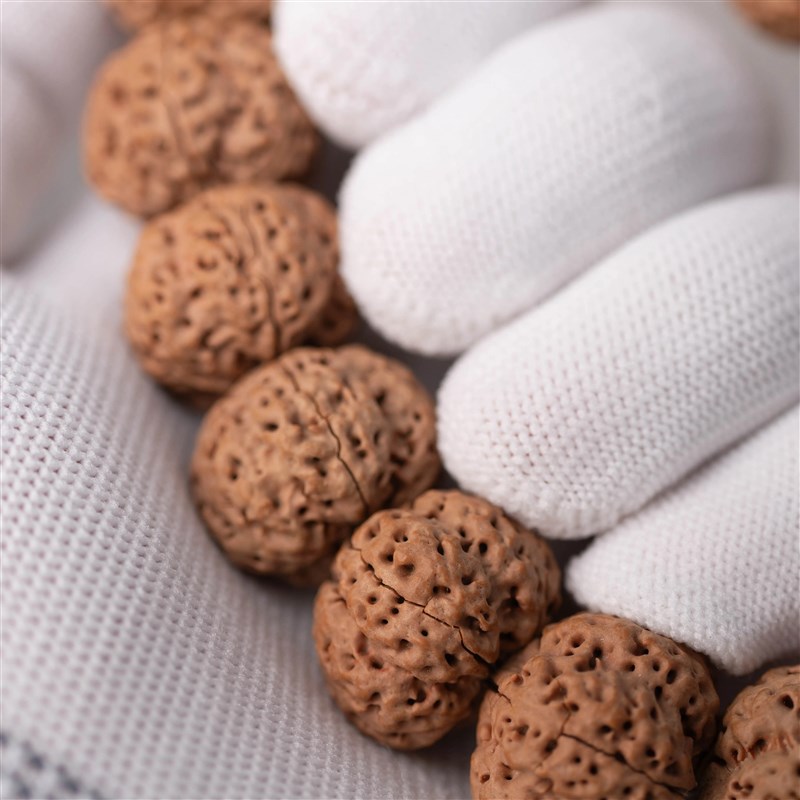 五星梅花蜂王尼泊尔五瓣大z金刚菩提子飞碟爆肉梅花蜂窝文玩